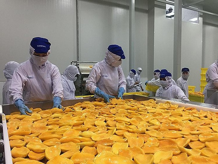Les États-Unis augmentent leurs importations de fruits et légumes transformés du marché vietnamien